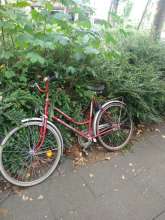Schrottfahrrad an Hecke zwischen Ein- u. Ausfahrt des Parkplatzes gelehnt