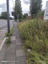 Bild zu gemeldetem Anliegen vom *2025-07-29 09:31:30