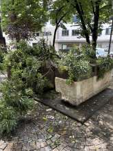 Bild zu gemeldetem Anliegen vom *2025-07-07 12:28:04