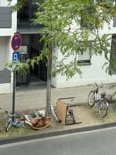 Bild zu gemeldetem Anliegen vom *2025-07-28 12:27:23