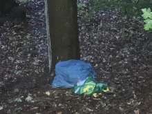 Bild zu gemeldetem Anliegen vom *2025-07-21 21:45:50