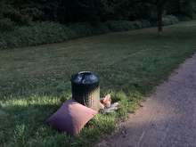 Bild zu gemeldetem Anliegen vom *2025-07-21 22:01:00