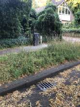 Bild zu gemeldetem Anliegen vom *2025-07-03 18:27:40