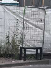 Bild zu gemeldetem Anliegen vom *2025-07-02 21:39:16