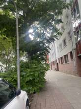 Bild zu gemeldetem Anliegen vom *2025-07-22 09:29:57