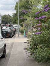 Bild zu gemeldetem Anliegen vom *2025-07-22 06:27:23