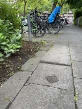 Bild zu gemeldetem Anliegen vom *2025-07-08 15:28:54