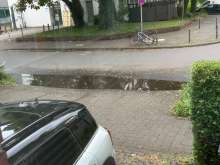 Bild zu gemeldetem Anliegen vom *2025-07-07 15:27:23