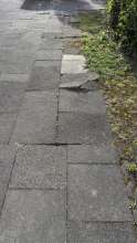 Bild zu gemeldetem Anliegen vom *2025-07-27 09:31:57