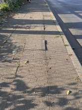 Bild zu gemeldetem Anliegen vom *2025-07-11 18:29:39