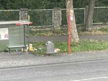 Bild zu gemeldetem Anliegen vom *2025-07-28 06:28:55