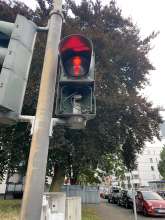 Bild zu gemeldetem Anliegen vom *2025-07-11 06:32:56