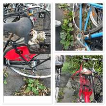 Bild zu gemeldetem Anliegen vom *2025-07-20 19:15:02