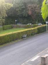 Bild zu gemeldetem Anliegen vom *2025-07-13 00:33:33