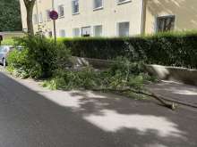 Bild zu gemeldetem Anliegen vom *2025-07-03 09:30:43