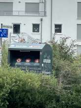 Bild zu gemeldetem Anliegen vom *2025-07-27 09:22:18