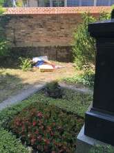 Bild zu gemeldetem Anliegen vom *2025-07-05 09:29:48