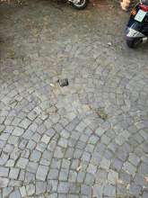 Bild zu gemeldetem Anliegen vom *2025-07-12 12:27:18