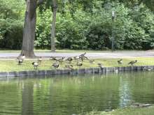 Bild zu gemeldetem Anliegen vom *2025-07-12 13:59:16