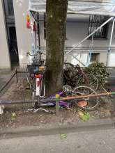 Bild zu gemeldetem Anliegen vom *2025-07-03 09:30:43