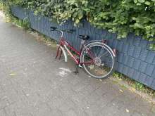 Bild zu gemeldetem Anliegen vom *2025-07-13 12:29:36