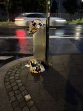 Bild zu gemeldetem Anliegen vom *2025-07-31 21:46:05