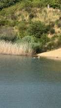 Bild zu gemeldetem Anliegen vom *2025-07-13 15:28:51