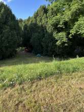 Bild zu gemeldetem Anliegen vom *2025-07-04 18:30:47