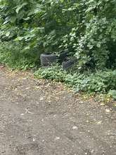 Bild zu gemeldetem Anliegen vom *2025-07-10 07:09:06