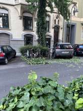 Bild zu gemeldetem Anliegen vom *2025-07-10 12:30:35