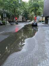 Bild zu gemeldetem Anliegen vom *2025-07-21 21:29:06