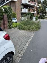 Bild zu gemeldetem Anliegen vom *2025-07-17 12:29:36