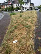 Bild zu gemeldetem Anliegen vom *2025-07-06 09:30:31