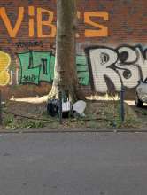 Bild zu gemeldetem Anliegen vom *2025-07-03 22:09:04