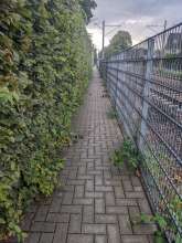 Bild zu gemeldetem Anliegen vom *2025-07-11 12:33:28