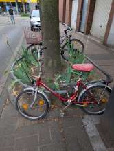 Bild zu gemeldetem Anliegen vom *2025-07-13 11:31:08