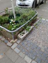 Bild zu gemeldetem Anliegen vom *2025-07-13 11:36:06