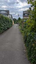 Streucher überwuchern Straße