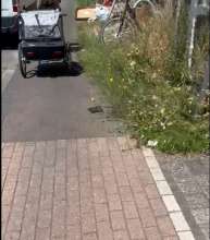 Bild zu gemeldetem Anliegen vom *2025-07-03 09:53:33