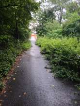 Bild zu gemeldetem Anliegen vom *2025-07-31 21:29:49