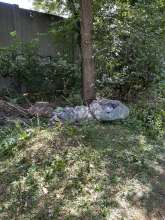 Bild zu gemeldetem Anliegen vom *2025-07-05 12:27:17