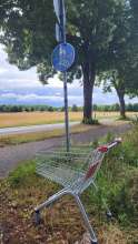 Bild zu gemeldetem Anliegen vom *2025-07-09 15:54:59