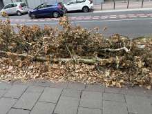 Bild zu gemeldetem Anliegen vom *2025-07-24 06:27:31