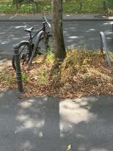 Bild zu gemeldetem Anliegen vom *2025-07-26 09:29:06