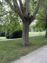 Bild zu gemeldetem Anliegen vom *2025-07-26 12:28:01