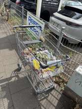 Bild zu gemeldetem Anliegen vom *2025-07-31 14:42:01