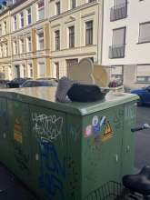 Bild zu gemeldetem Anliegen vom *2025-07-02 06:27:39