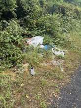 Bild zu gemeldetem Anliegen vom *2025-07-07 13:15:35