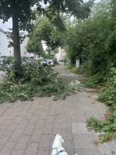 Bild zu gemeldetem Anliegen vom *2025-07-07 19:04:07