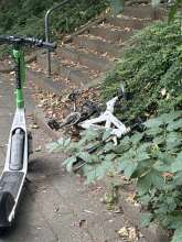 Bild zu gemeldetem Anliegen vom *2025-07-12 10:54:34